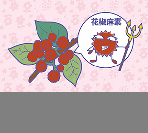 科普視頻：花椒為什么那么麻？（匹配百科詞條：花椒、花椒麻素）