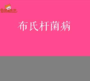 科普視頻:小心布氏桿菌?。? style=